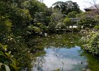 2008-03-31- KYOTO-P1010543
